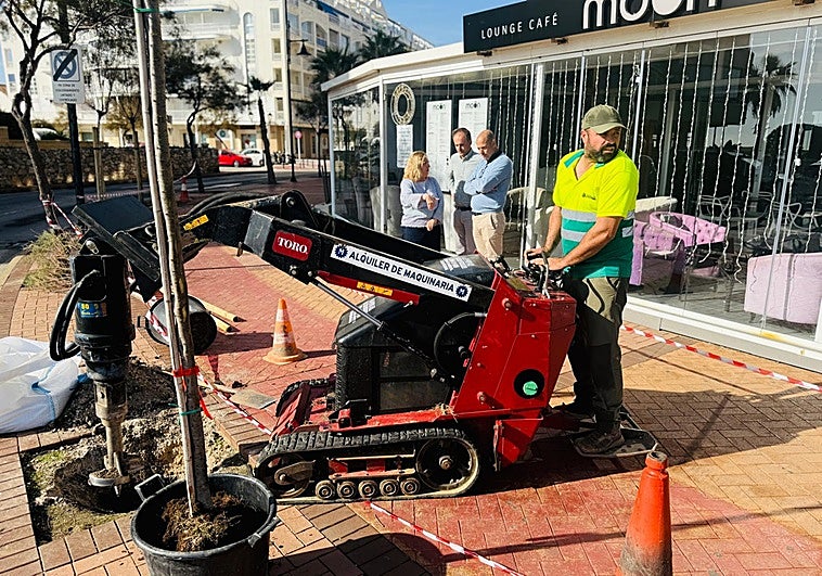 Fuengirola town hall launches new street tree replanting plan